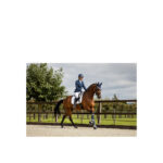 BR Over Reach Boots Zamora C-Wear - Image 4