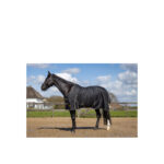 BR Rain Rug Classic 1200D 0Gr - Image 2