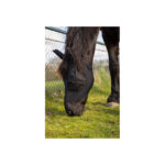 BR Fly hood Guard Lycrawear - Image 2