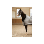 BR CLX Show Rug - Image 4