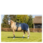 BR Mini Horse Exercise Rug - Image 7