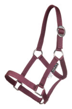 HKM Head collar -MINI SHETTY- - Image 6