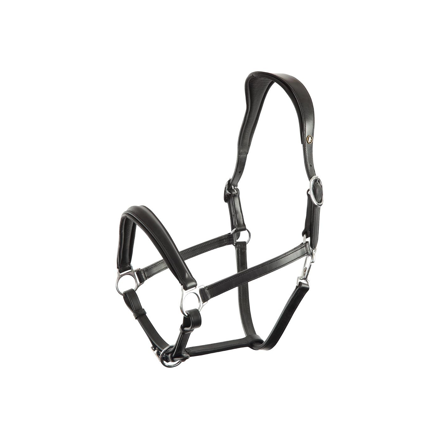 Halter BR Aberdeen anatomic head piece