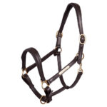 PREMIERE Leather Halter with nameplate - Image 2
