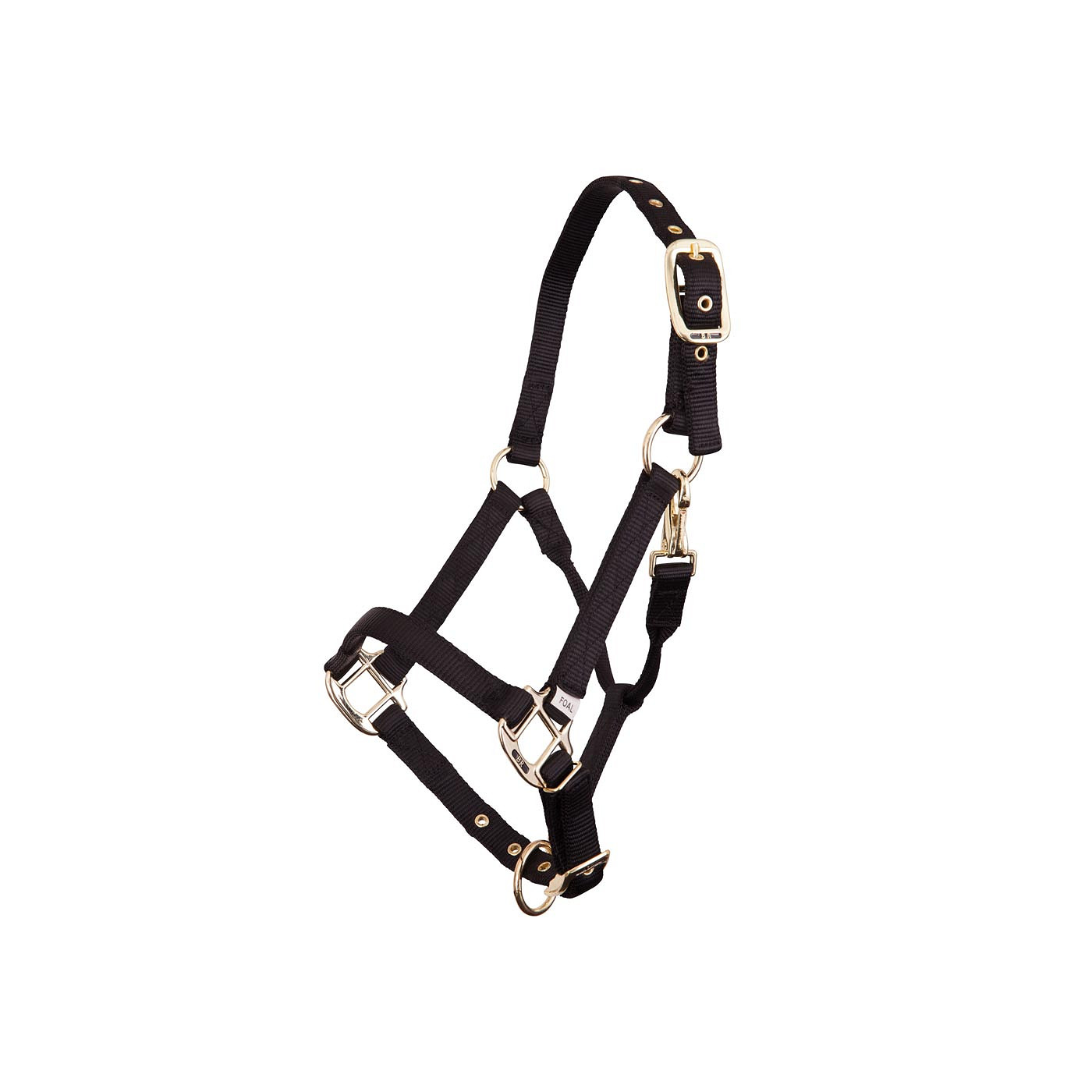 Halter BR foal nylon adjustabl e brass