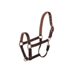 BR Halter Event - Image 4