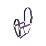 BR Halter Event - Image 5