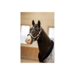 BR CLX Halter - Image 2