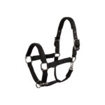 BR Eevolv Halter Josh