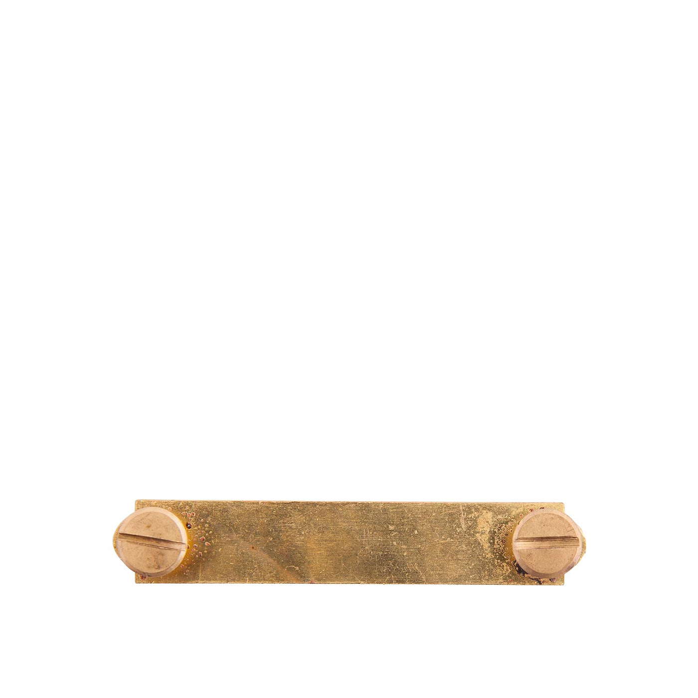 Halter name plate PREMIERE bra ss 6x5x1.1cm