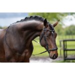 HKM Bridle -Carolin- - Image 2