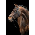 HKM Bridle -Carolin- - Image 3