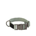 BR Dog Collar