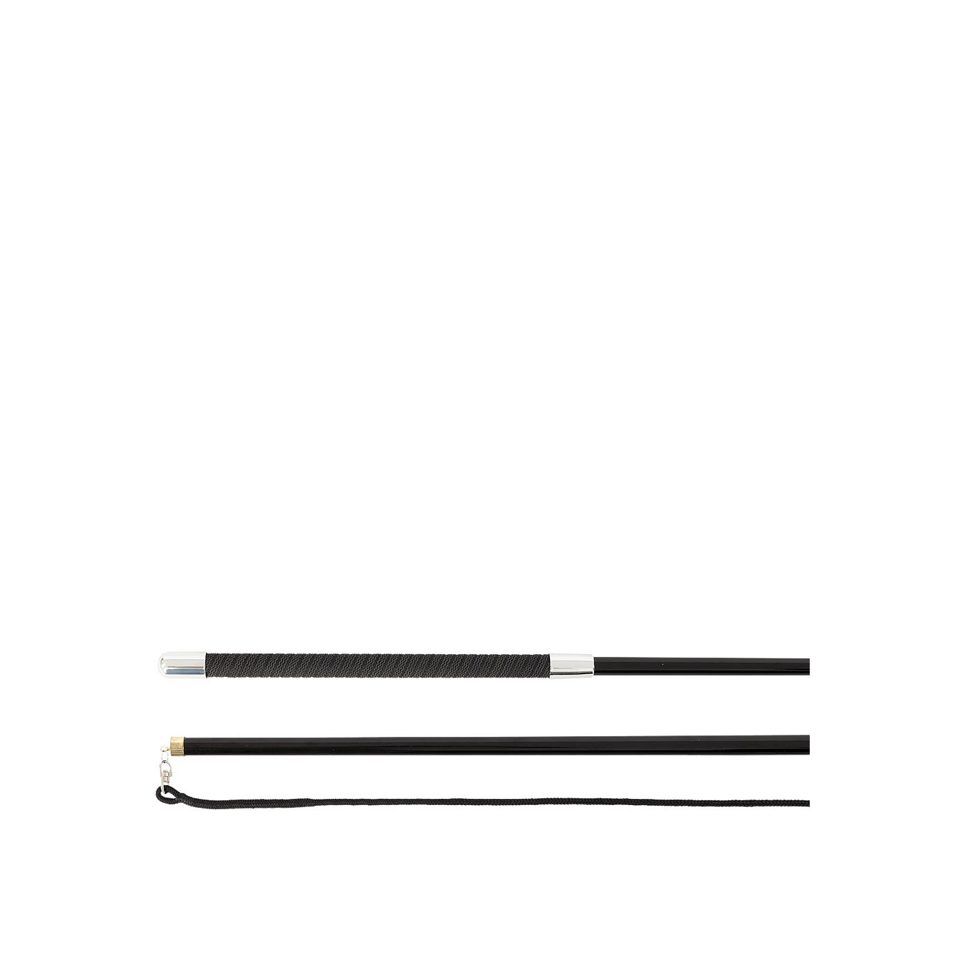 PREMIERE Lunging Whip Elara Telescopic, Lightweight