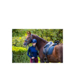 Rid.helmet BR Omega microfiber w/Glitter VG1 - Image 3