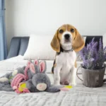 Bunny Puppy Crunchy Chew - Image 3