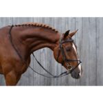 HKM Bridle -Mexican Style-with padded grackle noseband - Image 4