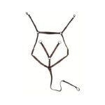 HKM Breastplate/martingale silver fittings