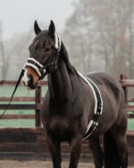 HORKA Lunging Girth NYLON - Image 2
