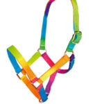 HKM head collar -Multicolor
