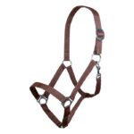 HKM Head collar -Stars Economy- - Image 11