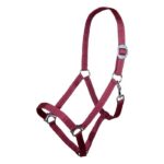 HKM Head collar -Stars Economy-