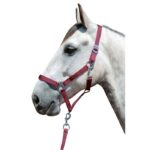 HKM Head collar -Stars Economy- - Image 4