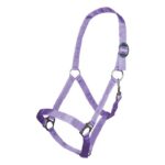 HKM Head collar -Stars Economy- - Image 8