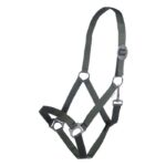 HKM Head collar -Stars Economy- - Image 12