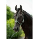 HKM Head collar -Stars Economy- - Image 2