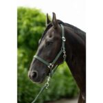 HKM Head collar -Stars Economy- - Image 3