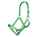 HKM Head collar -Stars Economy- - Image 7