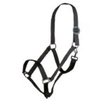 HKM Head collar -Stars Economy- - Image 5
