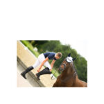 BR shirt Calgary Competition Ladies - Image 8