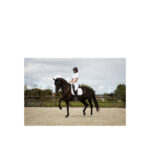 BR competition shirt Monterrey ladies short sleeve - Image 3