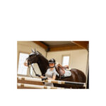 BR CLX Short-Sleeve Shirt Ladies - Image 5