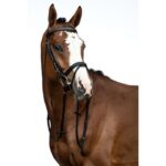 HKM Bridle -Economic- - Image 6