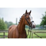 HKM Bridle -Economic- - Image 5