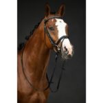 HKM Bridle -Economic- - Image 3