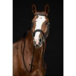 HKM Bridle -Economic- - Image 2