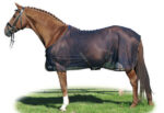 HKM Fly rug -Santos-