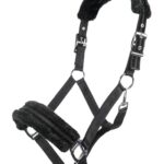 HKM Nylon head collar -Glitter- polar fleece lining
