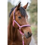 HKM Head collar set with -Crystal- soft padded - Image 4