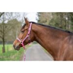 HKM Head collar set with -Crystal- soft padded - Image 5