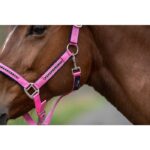 HKM Head collar set with -Crystal- soft padded - Image 6
