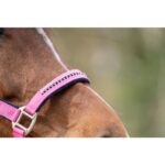 HKM Head collar set with -Crystal- soft padded - Image 7