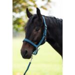 HKM Head collar set with -Crystal- soft padded - Image 3