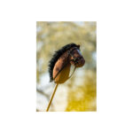 BR Mini Horse Hobby Horse - Image 3