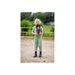 BR Mini Horse Hobby Horse - Image 4