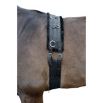 HKM Lunge roller -Teddy-